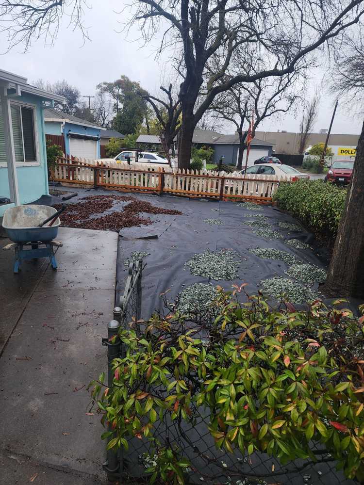 Landscape installation in progress in Modesto with weed barrier