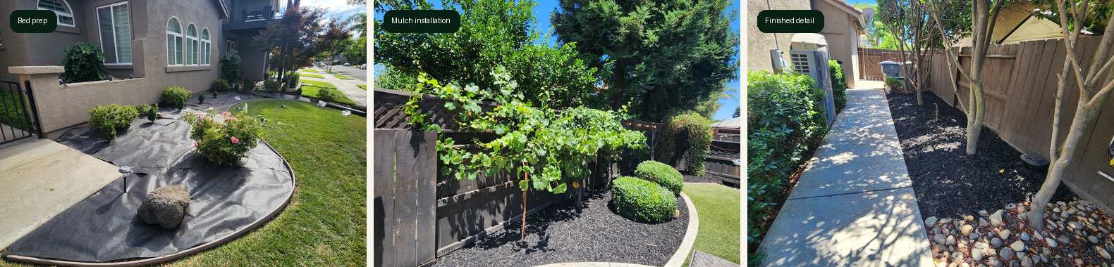 Escalon mulch project stages