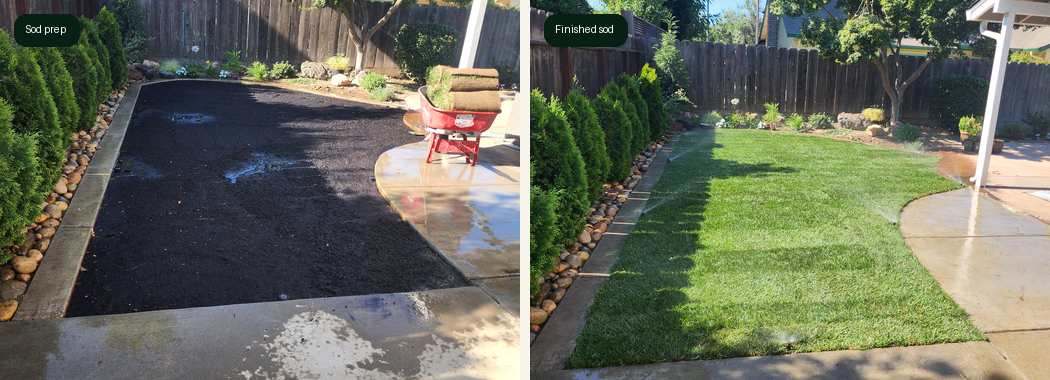 Escalon sod preparation and finished lawn