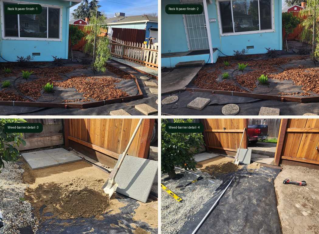 Modesto landscape transformation part 1