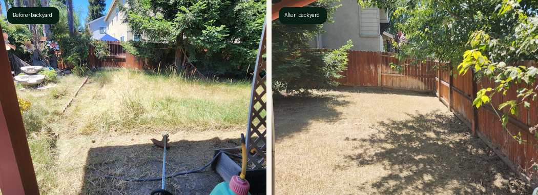 Matched Salida backyard before and after cleanup