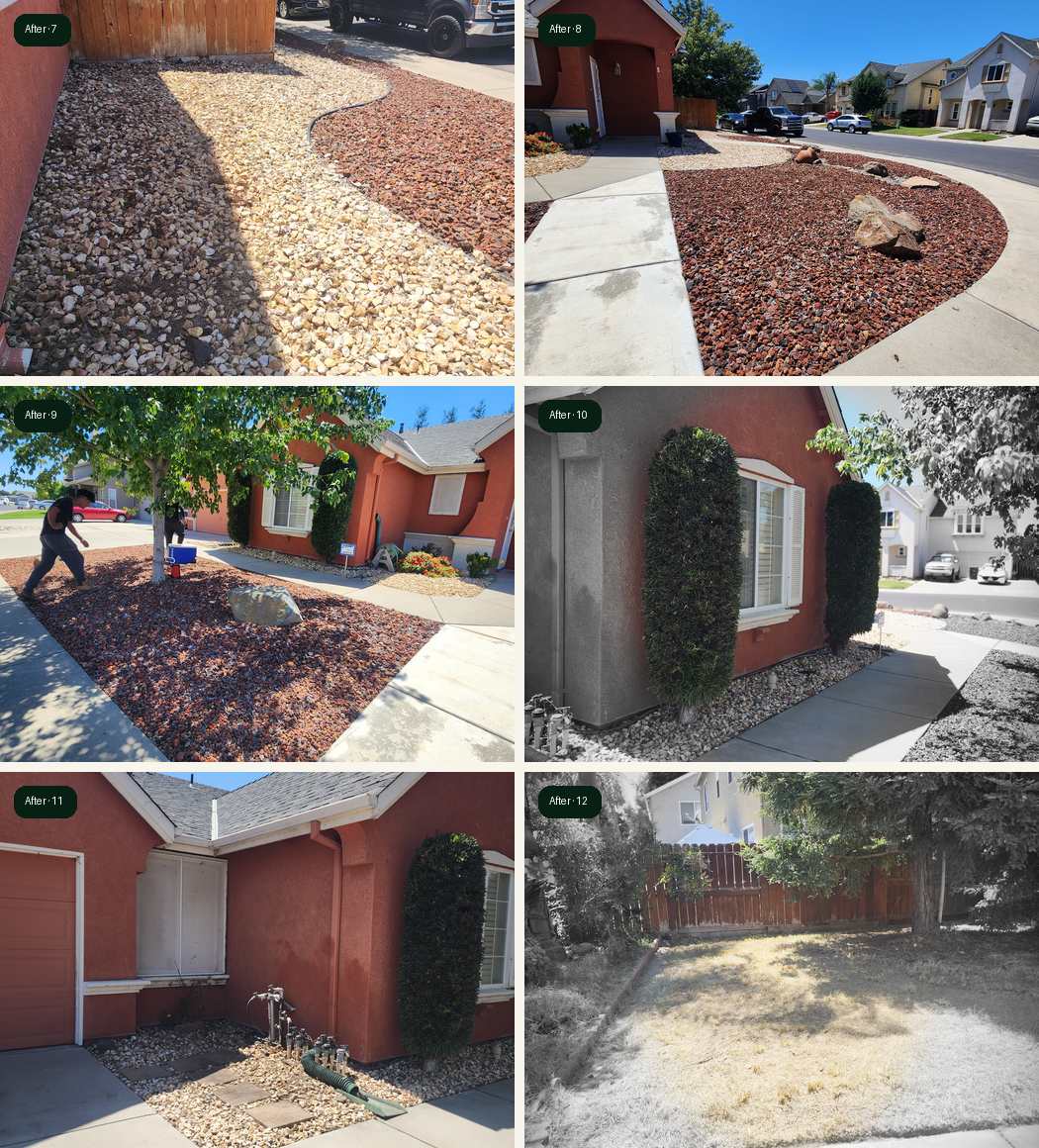 Salida overgrown yard cleanup project part 2