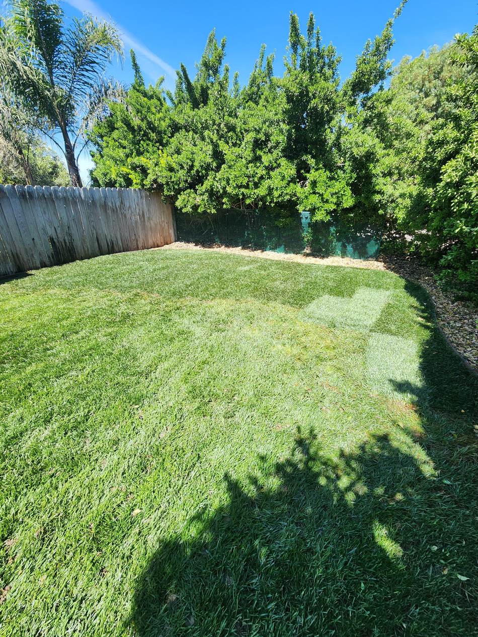 Fresh maintained lawn in Salida California